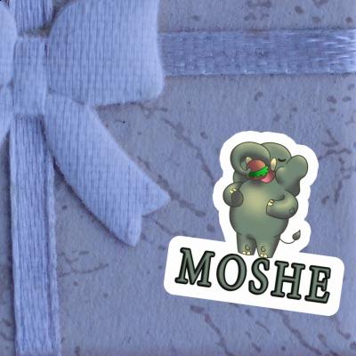 Sticker Moshe Elephant Notebook Sticker Moshe Elephant Gift package Image
