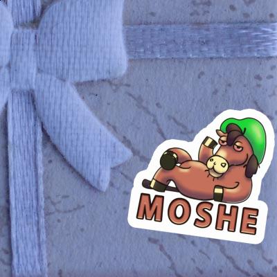 Sticker Moshe Pferd Notebook Sticker Moshe Pferd Gift package Image