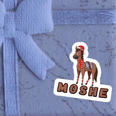 Aufkleber Moshe Weihnachtspferd Notebook Aufkleber Moshe Weihnachtspferd Gift package Image