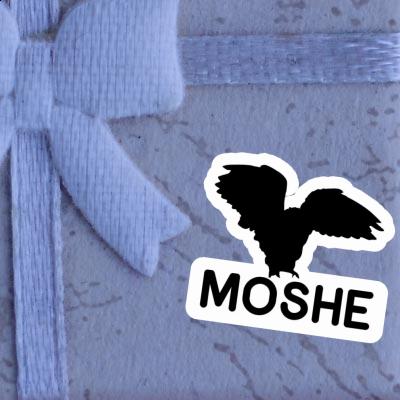 Sticker Owl Moshe Sticker Owl Moshe Image