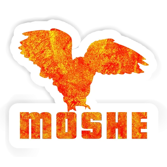 Sticker Moshe Eule Gift package Image