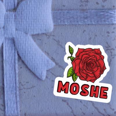 Sticker Rose Moshe Laptop Sticker Rose Moshe Laptop Image
