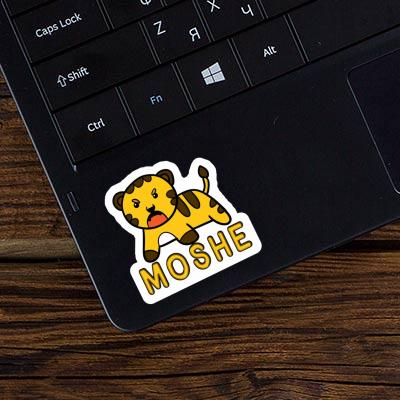 Sticker Tiger Moshe Notebook Sticker Tiger Moshe Gift package Image
