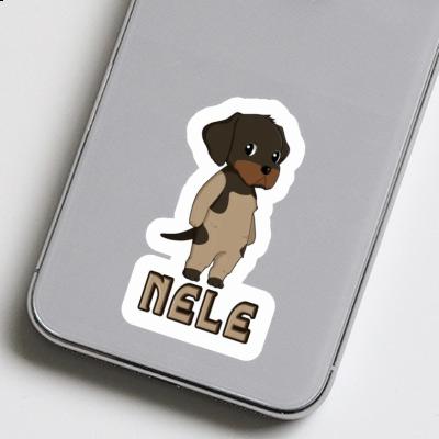 Sticker Nele German Wirehaired Notebook Sticker Nele German Wirehaired Gift package Image