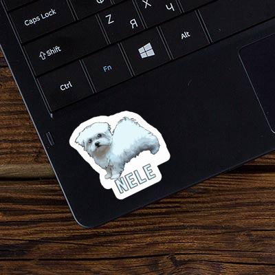 Nele Sticker Maltese Dog Laptop Image