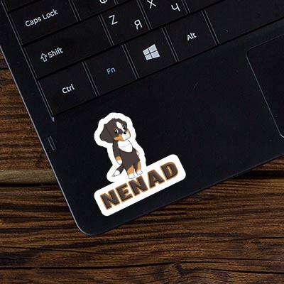 Nenad Sticker Berner Sennenhund Nenad Sticker Berner Sennenhund Image