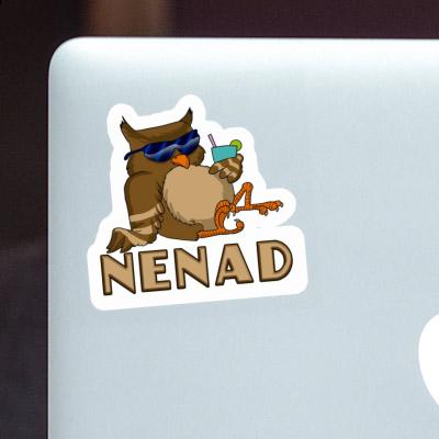 Nenad Sticker Cool Owl Gift package Image