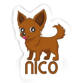 Autocollant Chihuahua Nico Image