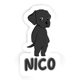 Sticker Nico Labrador Retriever Image