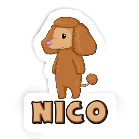 Sticker Poodle Nico Image