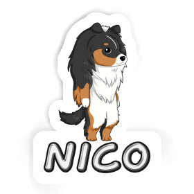 Sticker Shetland Sheepdog Nico Image