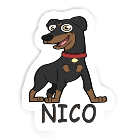 German Pinscher Sticker Nico Image