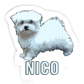 Sticker Nico Malteserhund Image