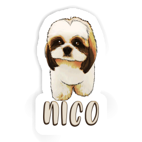 Sticker Nico Shih Tzu Image