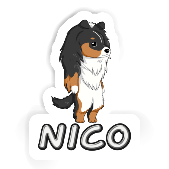 Sticker Nico Shetland Sheepdog Image