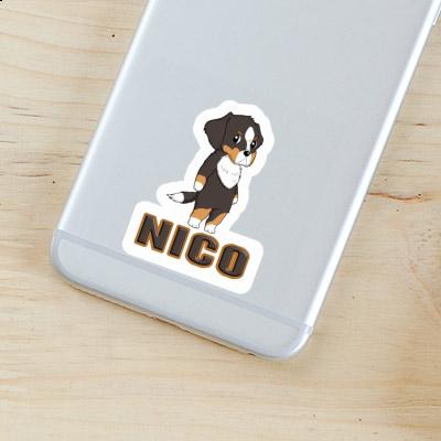 Aufkleber Berner Sennenhund Nico Gift package Image