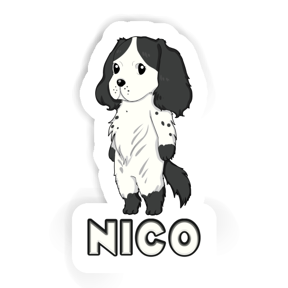 Nico Sticker Spaniel Gift package Image