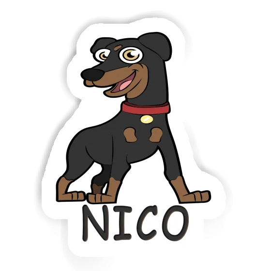 Autocollant Nico Pinscher Gift package Image