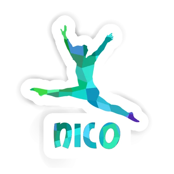 Autocollant Gymnaste Nico Gift package Image