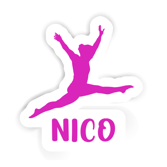 Gymnast Sticker Nico Laptop Image