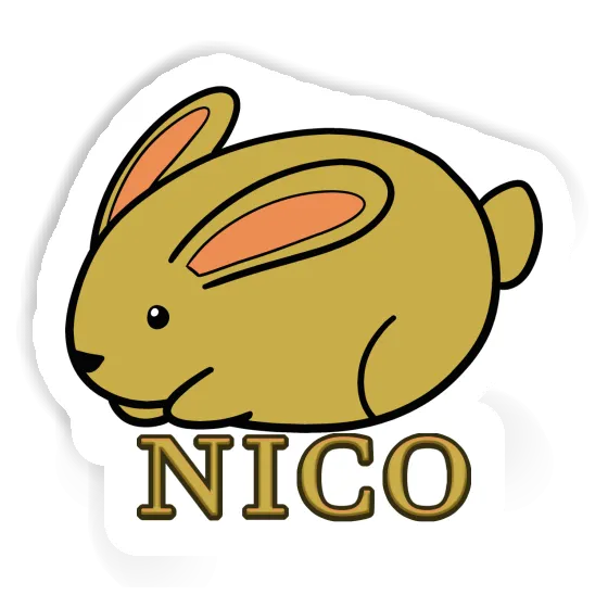 Autocollant Nico Lapin Gift package Image