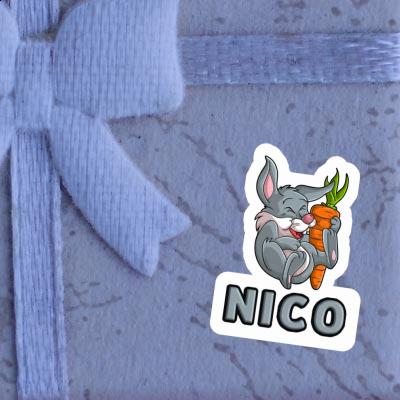 Sticker Rabbits Nico Gift package Image