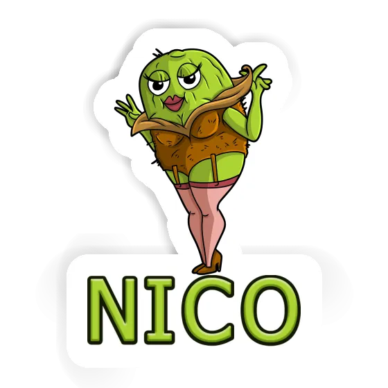 Kiwi Sticker Nico Laptop Image