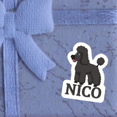 Poodle Sticker Nico Image