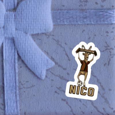 Autocollant Nico Bouquetin Gift package Image