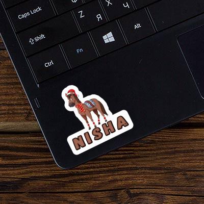 Cheval Autocollant Nisha Notebook Cheval Autocollant Nisha Notebook Image