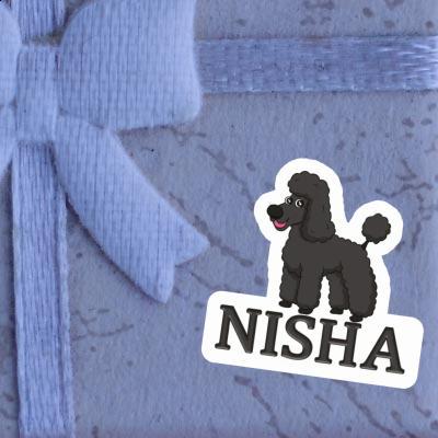 Autocollant Caniche Nisha Laptop Autocollant Caniche Nisha Laptop Image