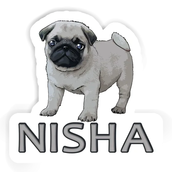 Autocollant Carlin Nisha Gift package Image