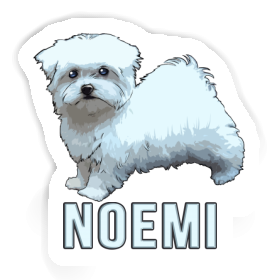 Noemi Sticker Maltese Dog Image