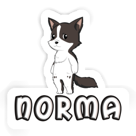 Autocollant Norma Collie border Image