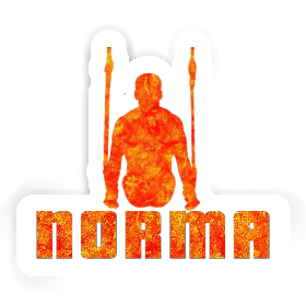 Norma Sticker Ringturner Image