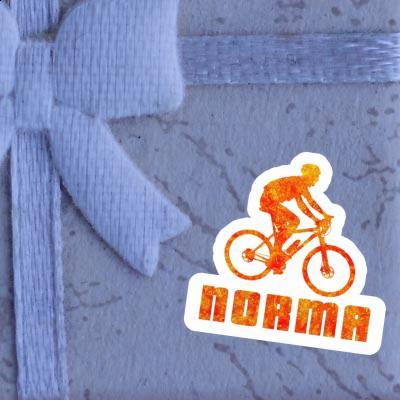 Aufkleber Biker Norma Gift package Image