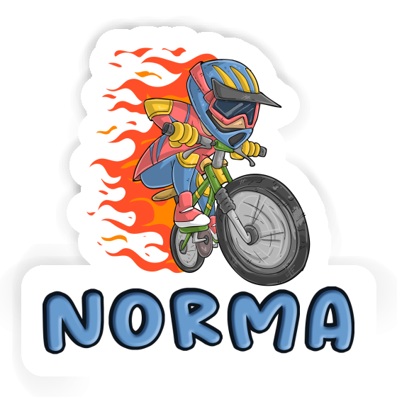 Biker Aufkleber Norma Image