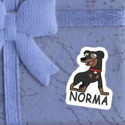 Sticker Norma Pinscher Laptop Image