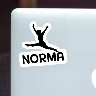 Norma Sticker Gymnast Gift package Image