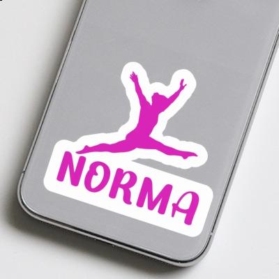 Gymnast Sticker Norma Gift package Image