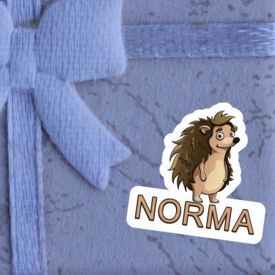 Sticker Igel Norma Laptop Image