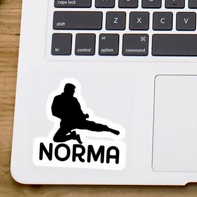 Sticker Karateka Norma Gift package Image