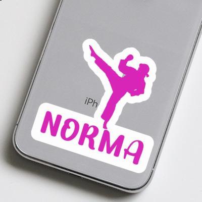 Karateka Sticker Norma Notebook Image