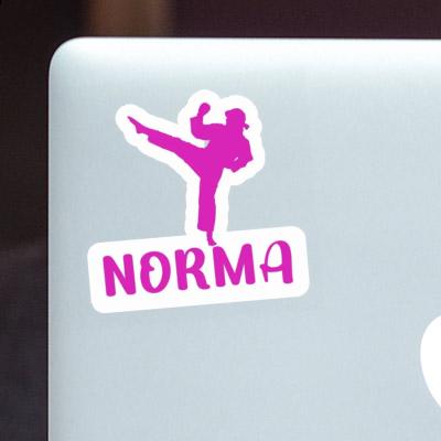 Karateka Sticker Norma Laptop Image