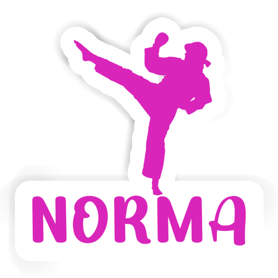 Karateka Sticker Norma Gift package Image