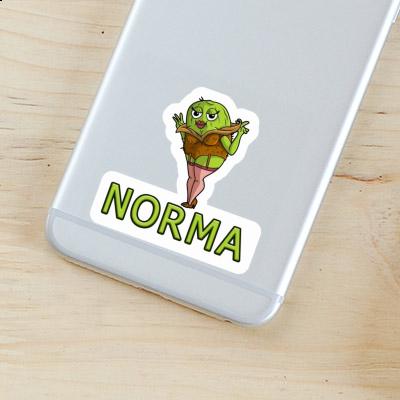 Norma Sticker Kiwi Image