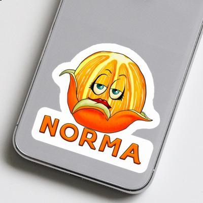 Orange Sticker Norma Laptop Image