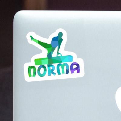 Norma Sticker Gymnast Gift package Image