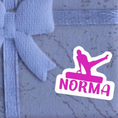 Autocollant Gymnaste Norma Gift package Image