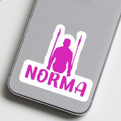 Norma Sticker Ring gymnast Laptop Image